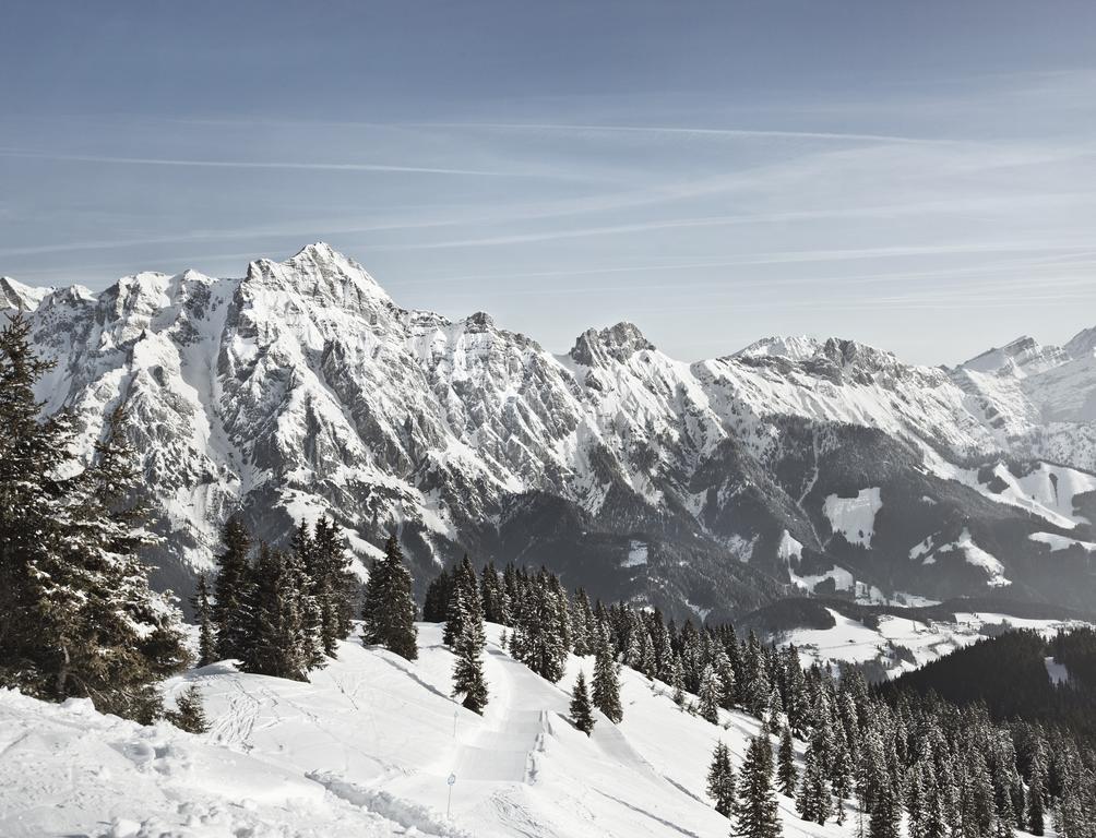 Ferienwohnung John Seymour Leogang Rom bilde