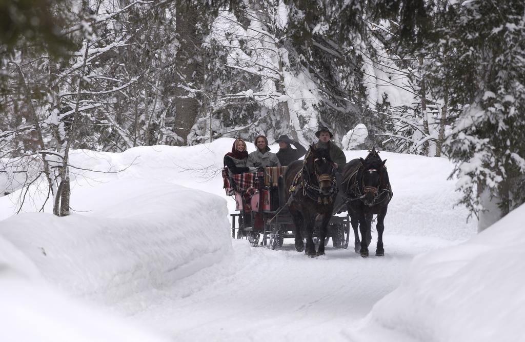 Ferienwohnung John Seymour Leogang Rom bilde